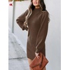image:imageANRABESS Womens Long Sleeve Turtle Neck Fall Bodycon Mini Sweater DressesBrown