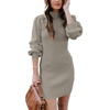 image:imageANRABESS Womens Long Sleeve Turtle Neck Fall Bodycon Mini Sweater DressesLight Gray Green