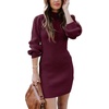 image:imageANRABESS Womens Long Sleeve Turtle Neck Fall Bodycon Mini Sweater DressesWine Red